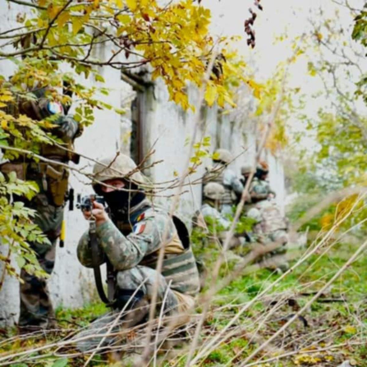 Catalin_Catalin_photo