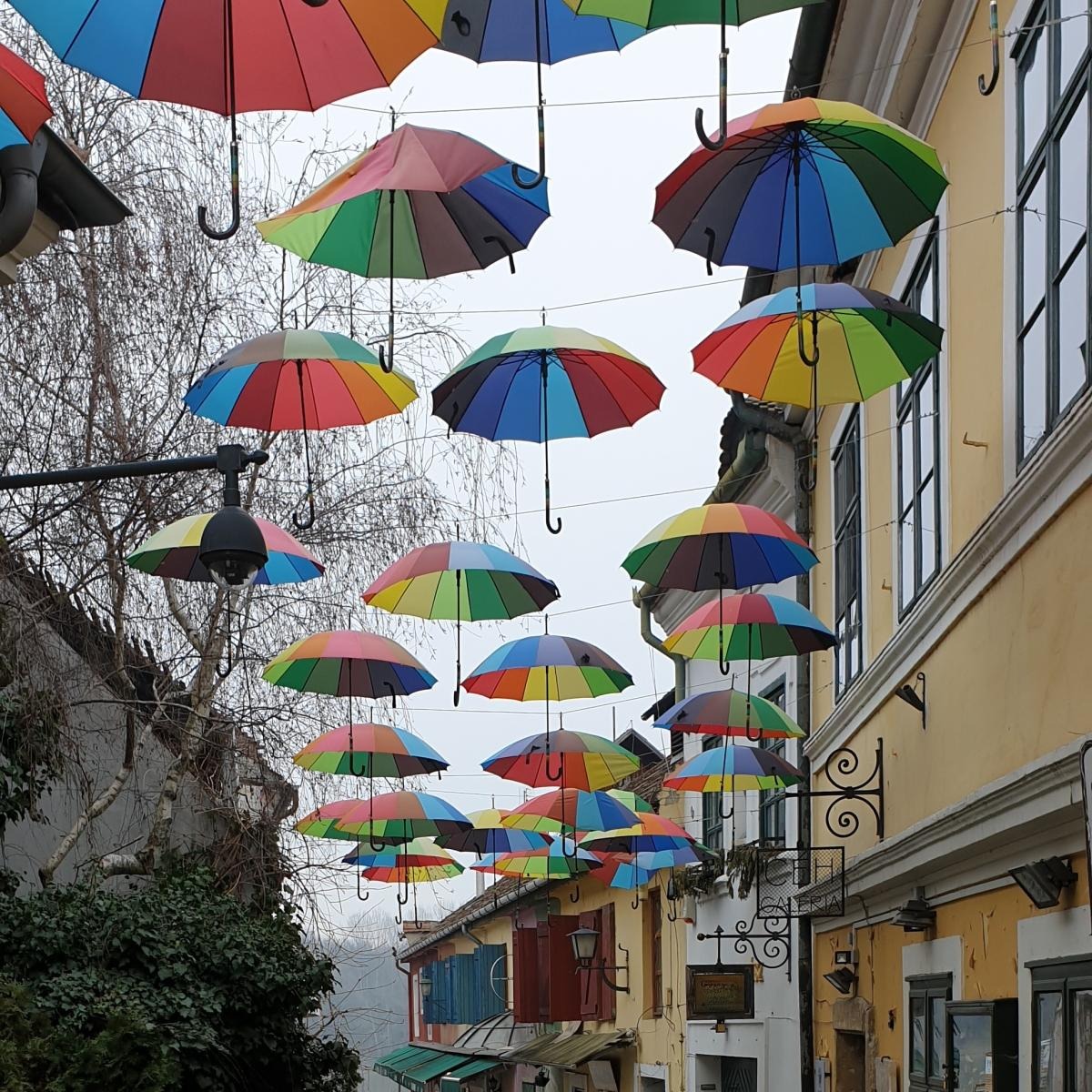 Mihnea_Cristina_photo